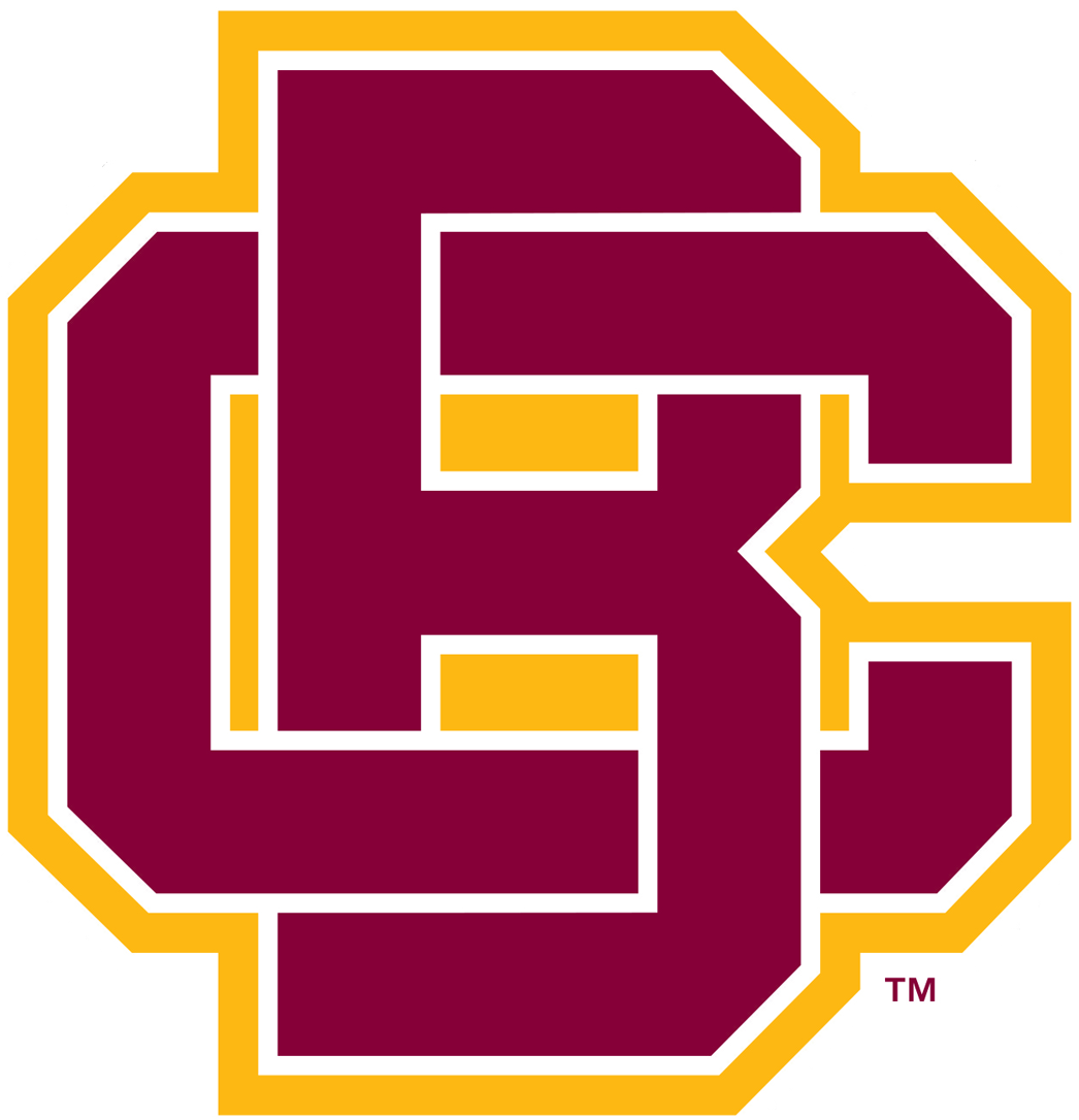 Bethune-Cookman Wildcats 2016-Pres Primary Logo diy DTF decal sticker